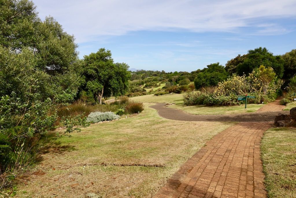 Jardín Botánico de Kirstenbosch en cuidad del cabo