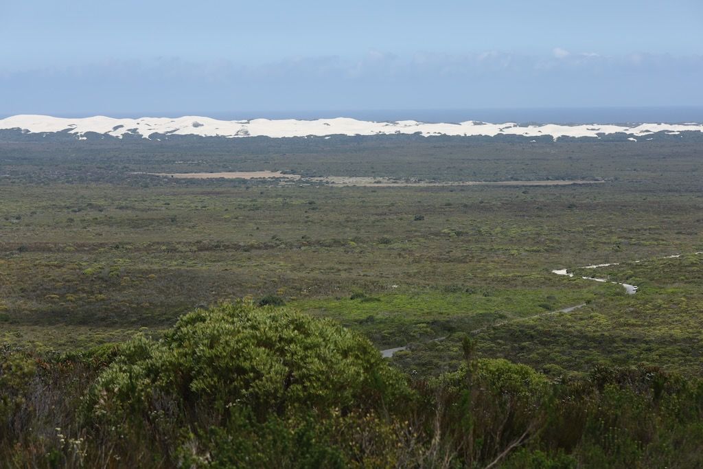De Hoop pradera de fynbos