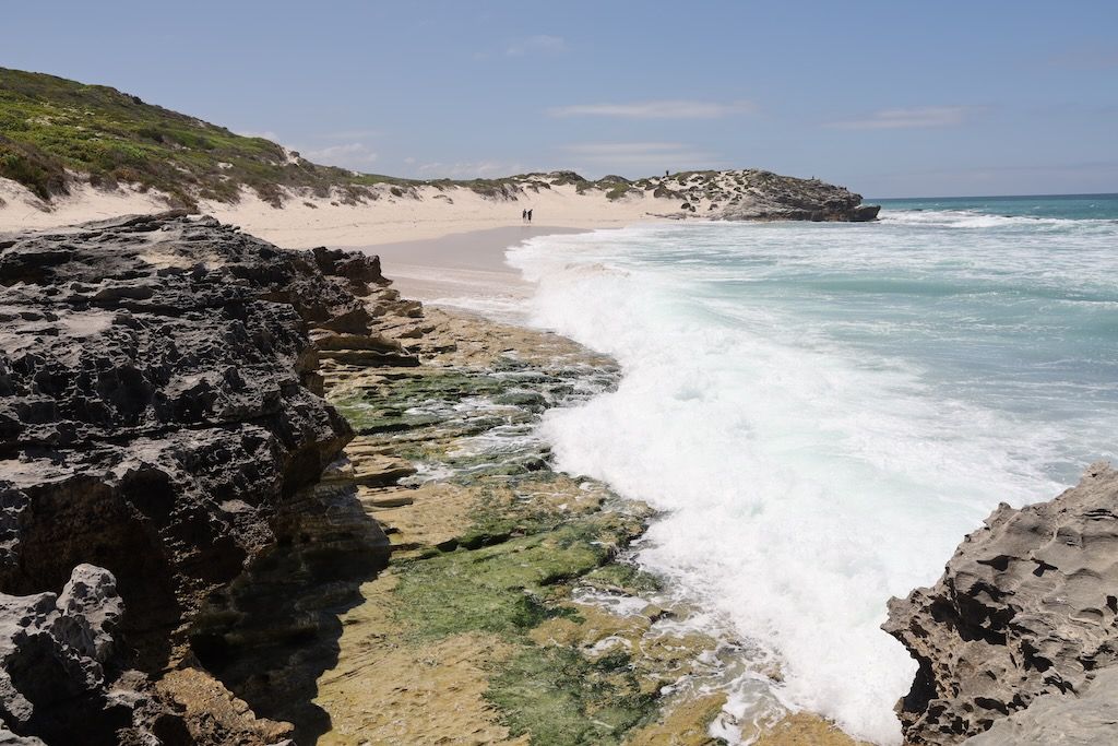 De Hoop reserva natural sudafrica que ver y hacer