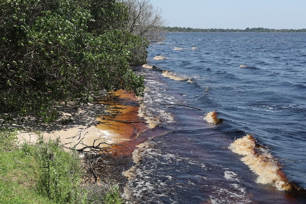 Grassland Loop que hacer en isimangaliso