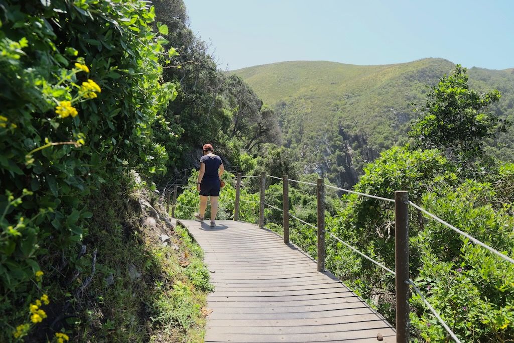 Mouth Trail sendero puentes colgantes Tsitsikamma