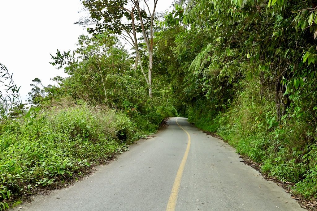 carretera Ruta Cordillerana Eje Cafetero