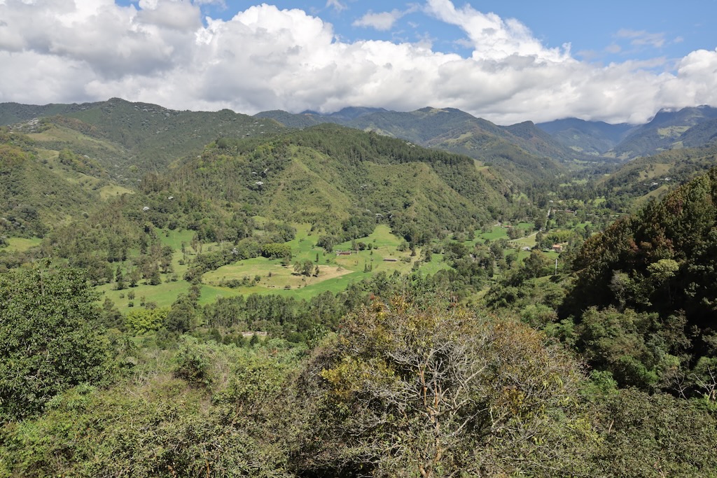 Mirador valle de Cocora Salento Quindio Colombia eje cafetero