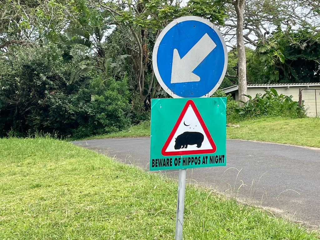 hipopotamo en la calle de santa lucia Sudafrica