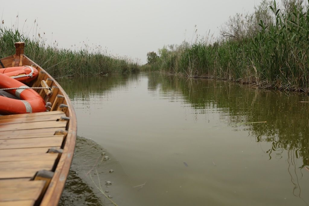Albufera de Valencia