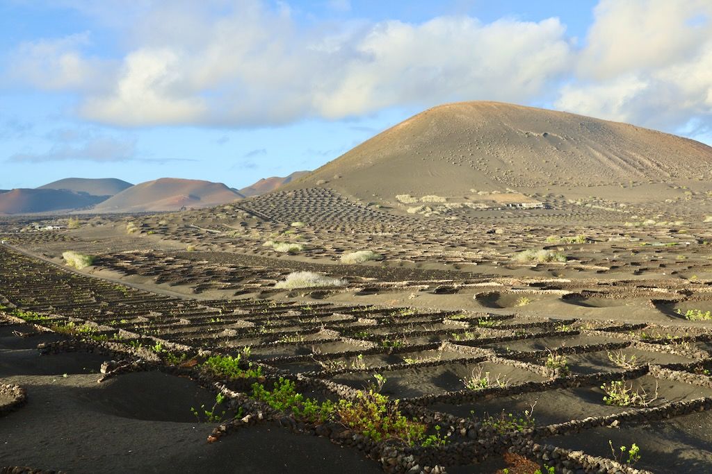 Bodega La Geria lanzarote que hacer