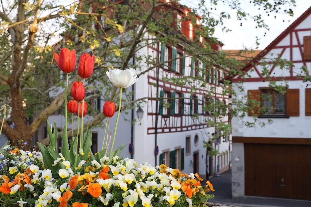 Meersburg (lago Constanza)
