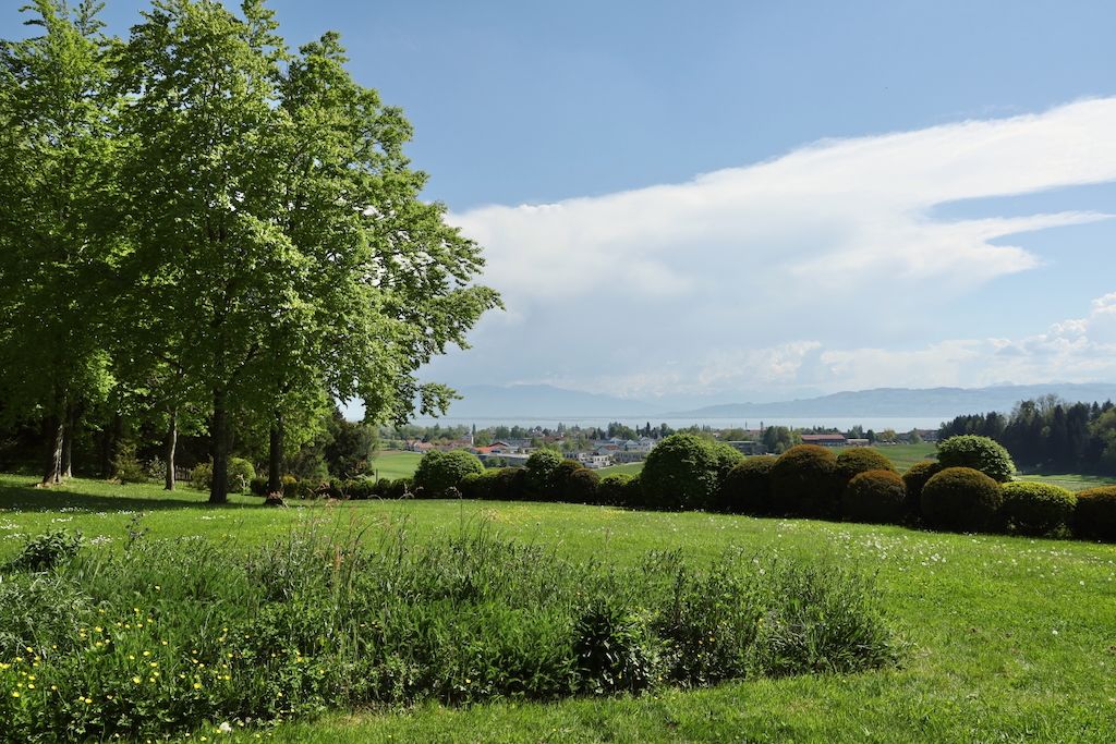viñedos Schmidt am Bodensee Pinot Die Weinbar