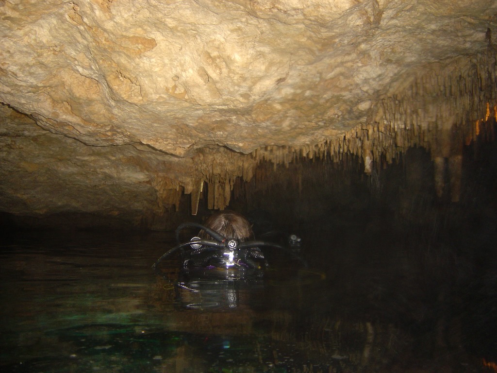 Buceo en los cenotes de mexico