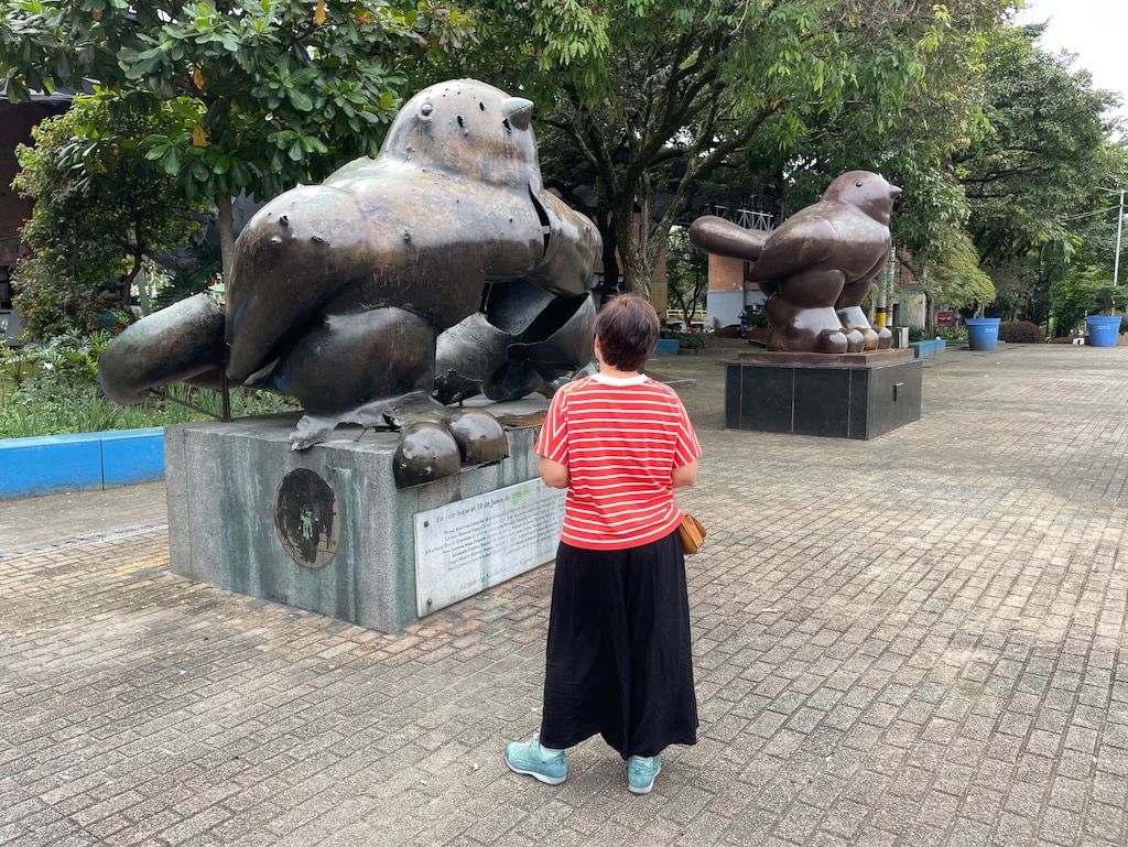 Parque San Antonio Medellín pajaro herido paz