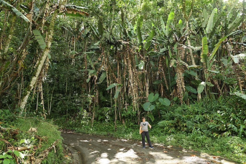Ruta herrera que hacer en Jardín (Antioquia)