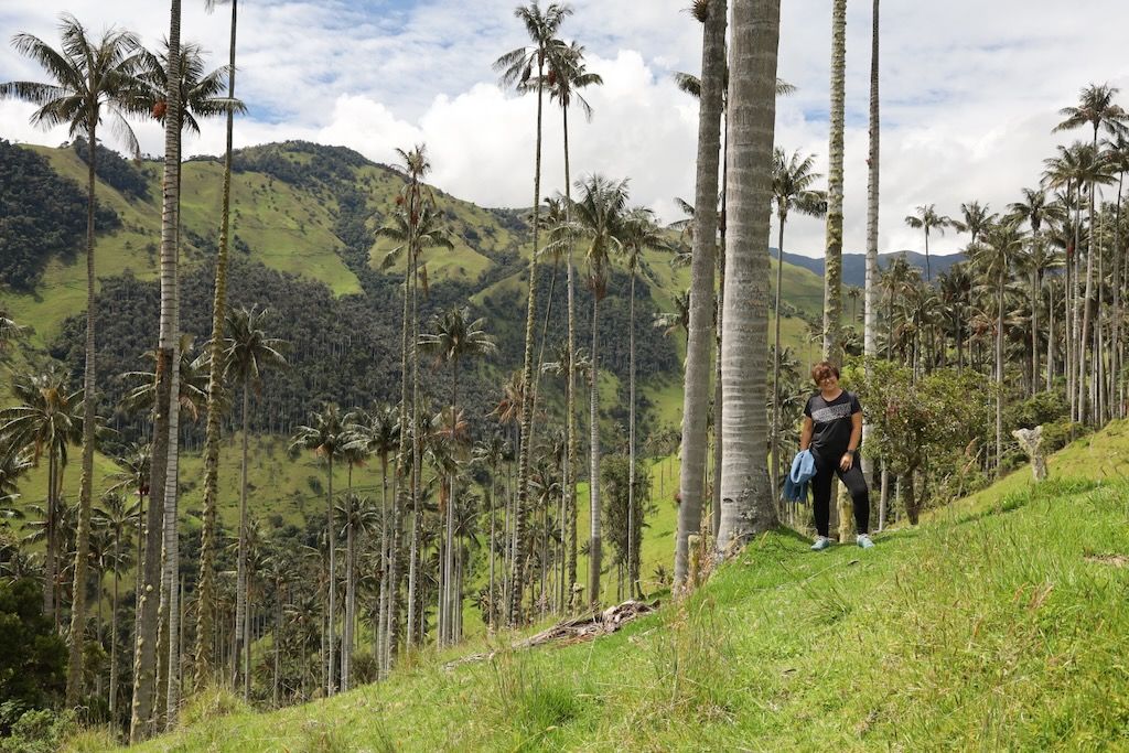 La Carbonera valle Tochecito palmas de cera Tolima Colombia