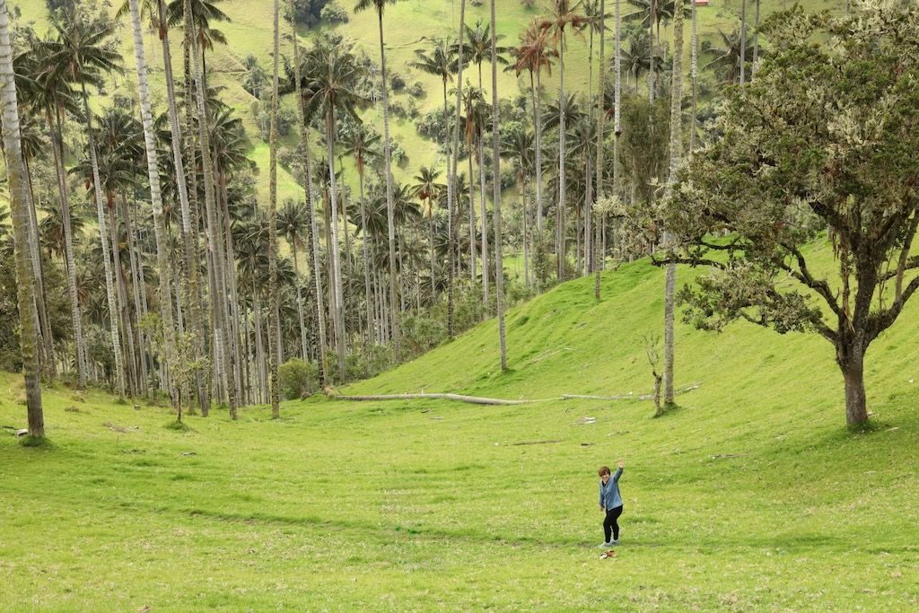 La Carbonera valle Tochecito palmas de cera Colombia