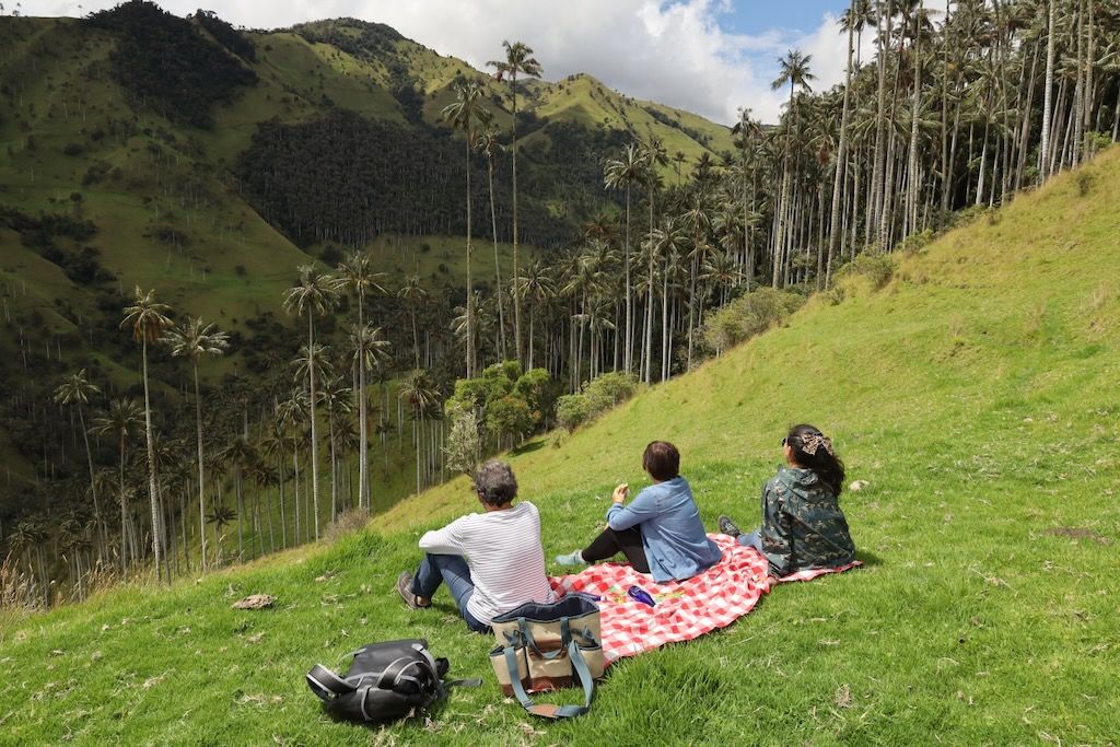 La Carbonera valle Tochecito palmas de cera Colombia