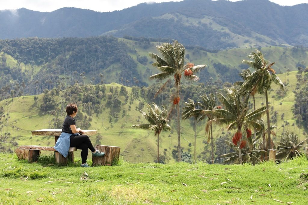 La Carbonera valle Tochecito palmas de cera Colombia
