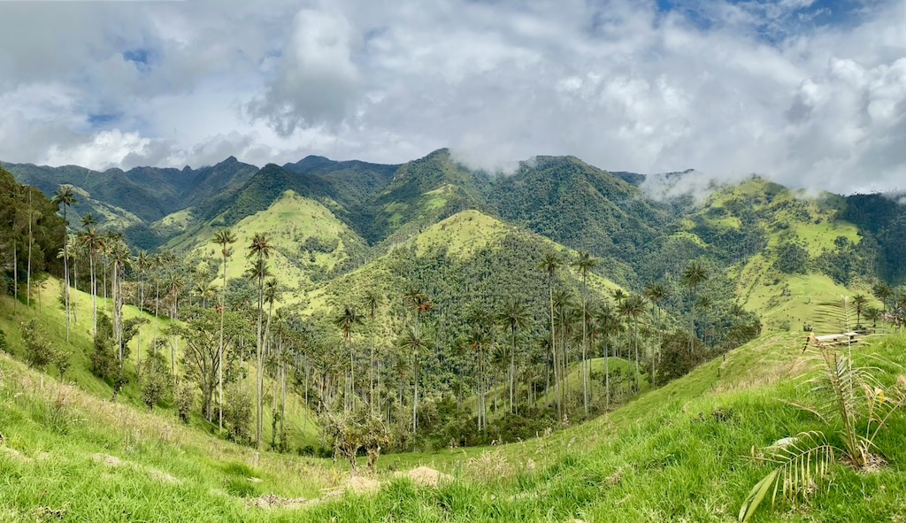 La Carbonera valle Tochecito palmas de cera Colombia