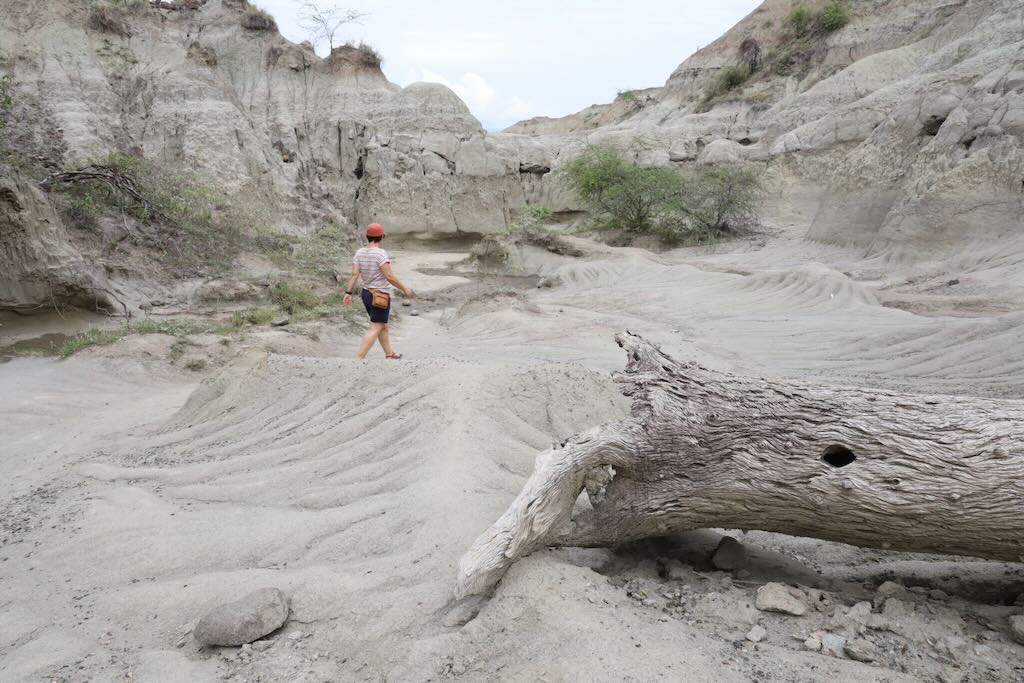 Desierto gris La Tatacoa Colombia