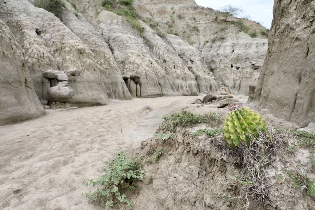 Desierto gris La Tatacoa Colombia