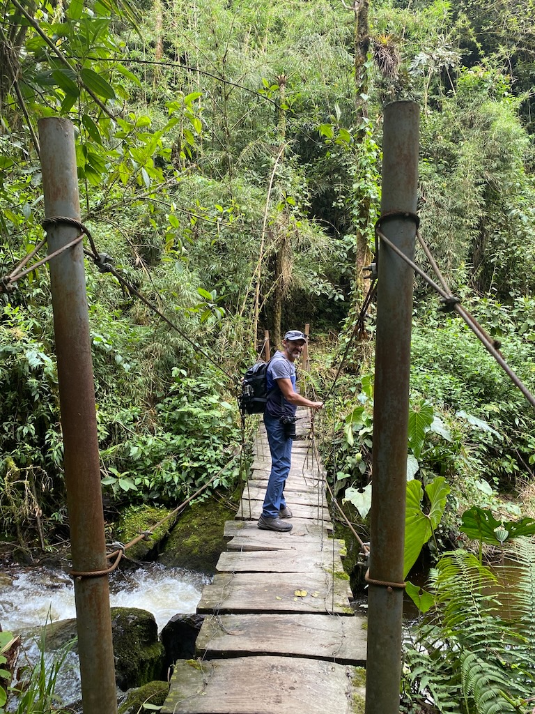 Valle del Cocora Salento recorrido largo