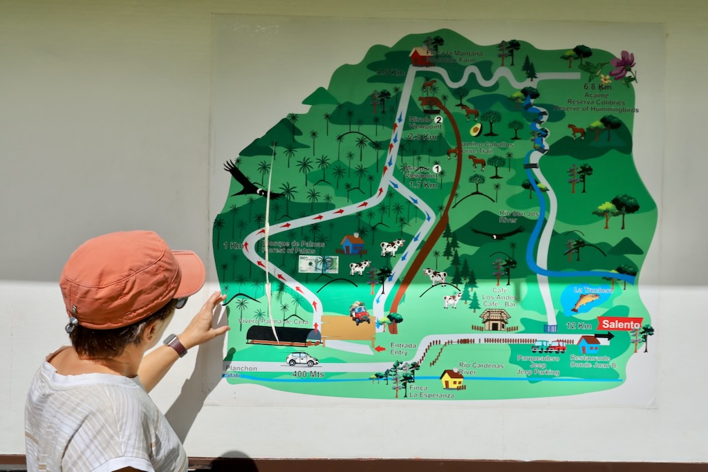 mapa Valle del Cocora (Salento)
