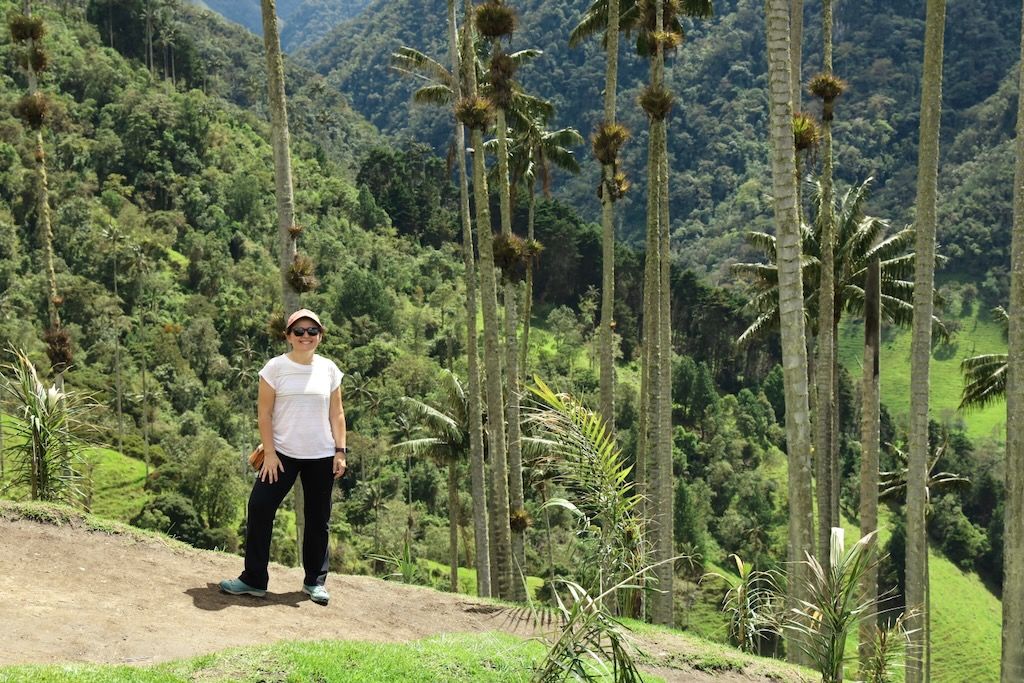 palmas de cera Valle del Cocora (Salento)