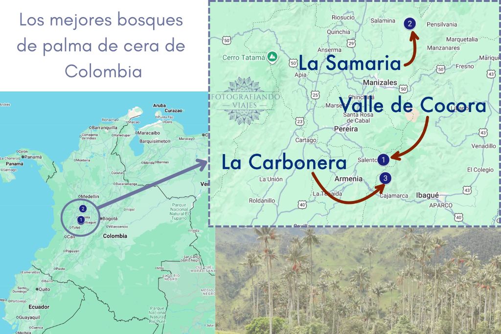 Mapa donde ver bosques con palmas de cera en Colombia